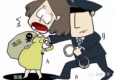2016年初，涉縣警方查獲一起涉毒案件，鑒于該案涉案人員多、毒品交易量大，涉縣警方立即將案情上報，被公安部確立為“目標(biāo)-2016-314”號毒品案件。涉縣警方成立專案組，經(jīng)過多方追查，先后抓獲團伙人員13名，繳獲毒品5349克，并查明上線“濮姐”的真實身份為陳某。